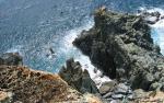 Nature_066
