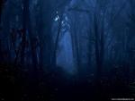 Nature_067