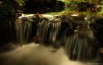 Nature_068