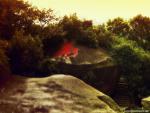 Nature_069