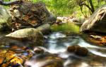 Nature_070
