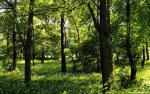 Nature_072