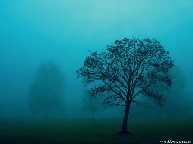 Nature_073