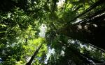 Nature_074