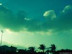 Nature_075