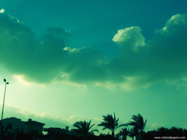 Nature_075