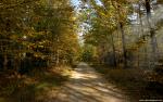 Nature_082