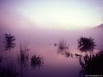 Nature_086