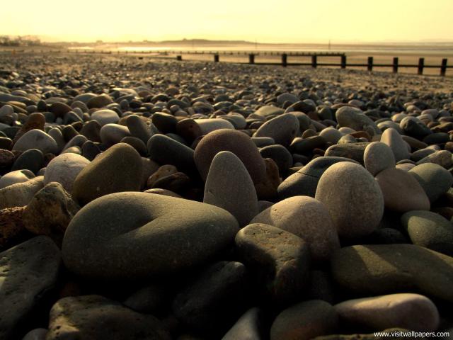 Nature_087