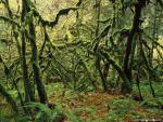 Nature_088