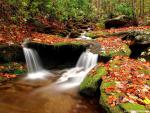 Nature_089