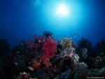 Nature_090