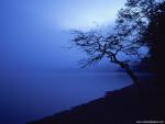Nature_092
