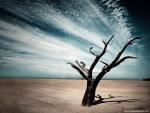 Nature_094
