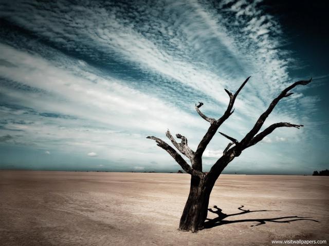 Nature_094