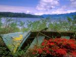 Nature_096