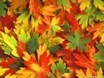 Nature_098