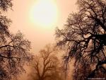 Nature_101
