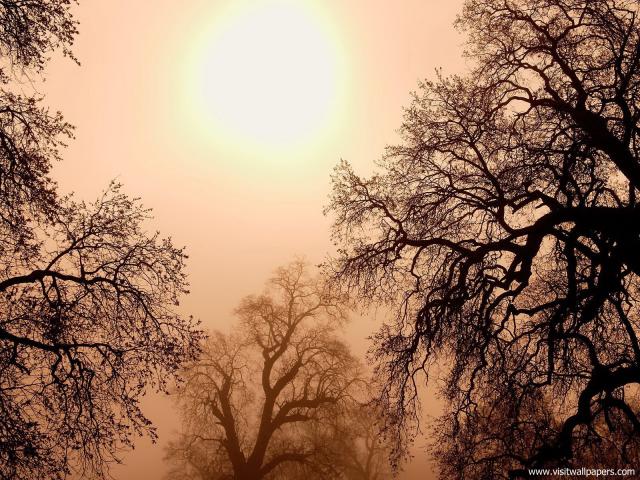 Nature_101