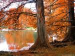Nature_108