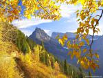 Nature_109