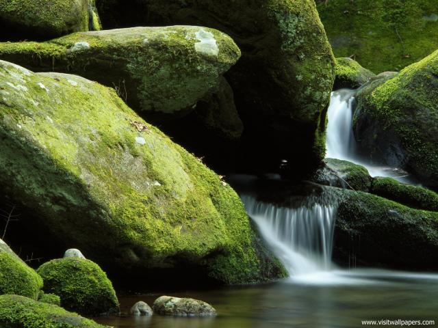 Nature_110