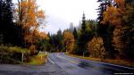 Nature_128