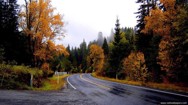 Nature_128