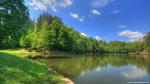 Nature_135