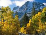 Nature_148