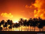 Nature_153