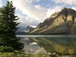 Nature_155