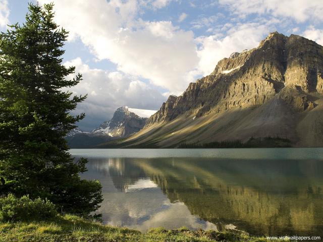 Nature_155