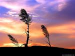 Nature_160