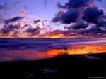 Nature_166