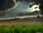 Nature_171