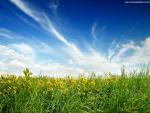 Nature_175