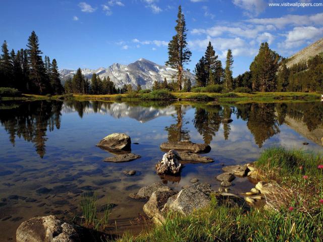Nature_179
