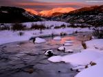 Nature_183