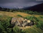 Nature_187