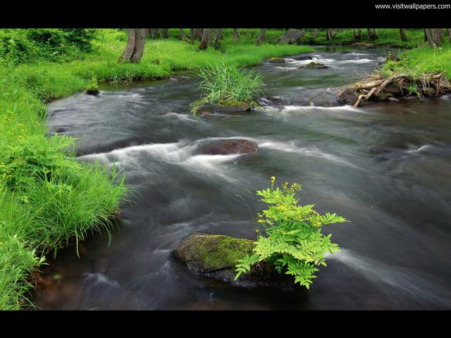Nature_192