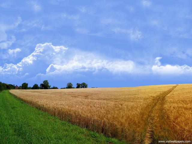Nature_194