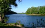 Nature_207