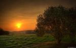 Nature_210