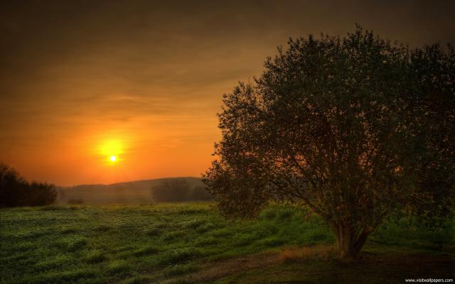 Nature_210
