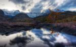 Nature_218