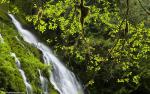 Nature_229