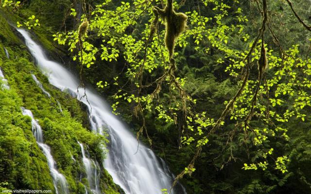 Nature_229