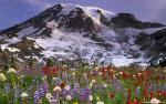 mountains_217