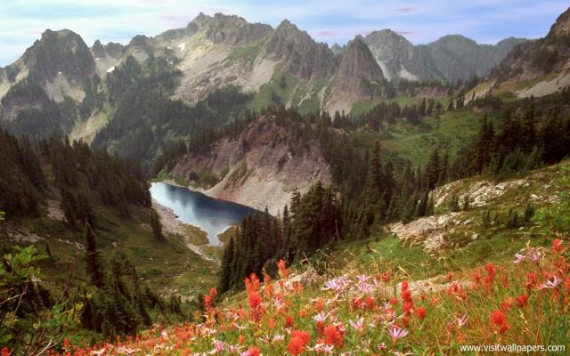 mountains_219